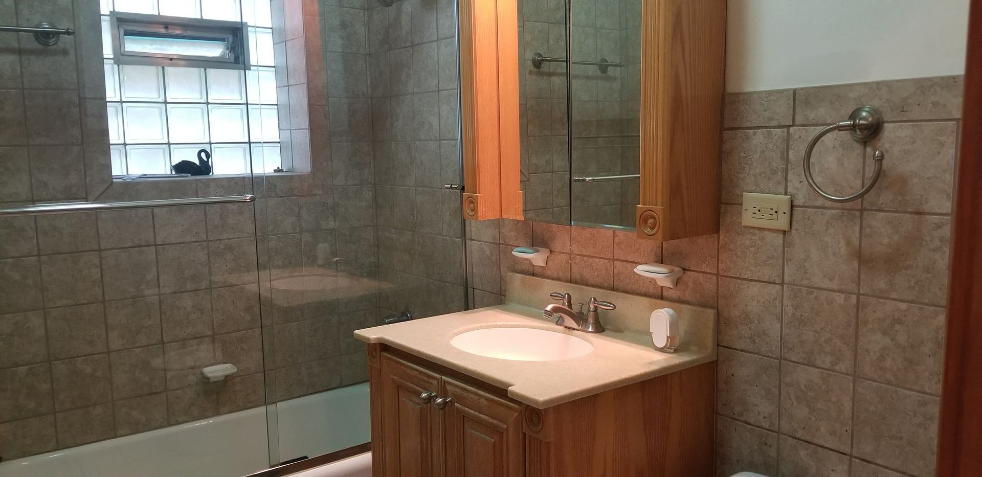 7418 South Rhodes Avenue Chicago, IL 60619 - Photo 11 of 41 a bathroom with a sink shower and a mirror