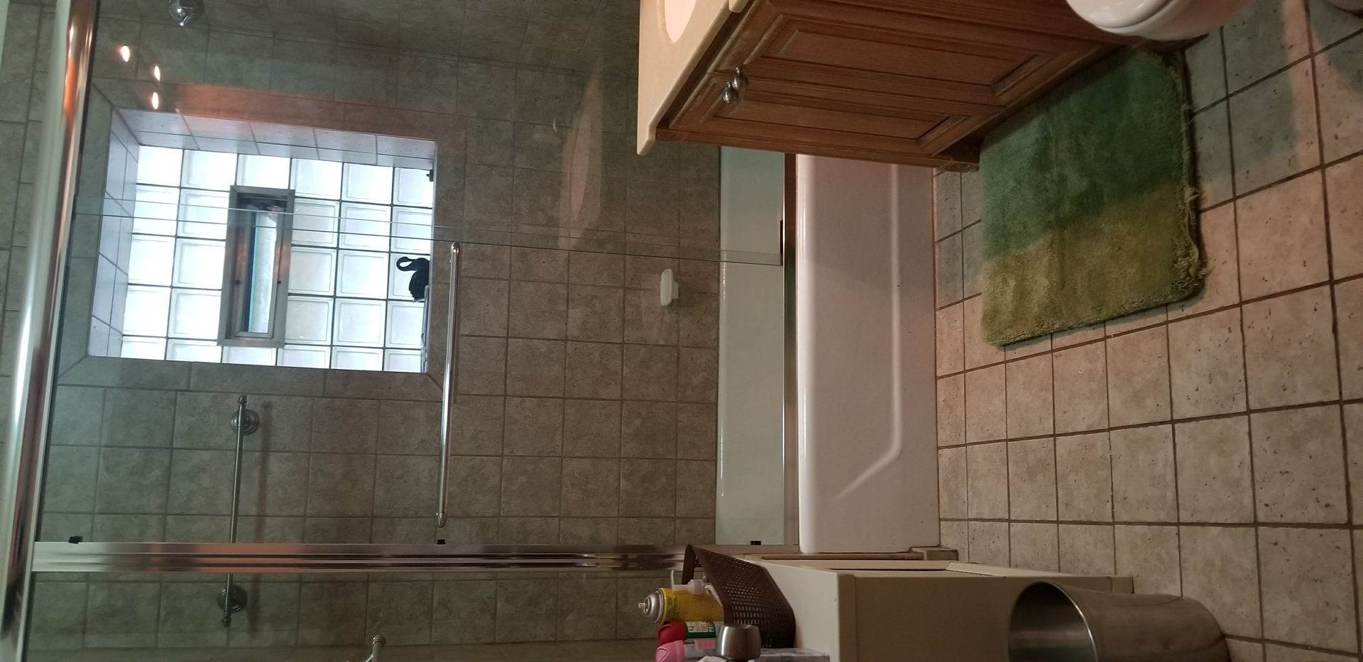 7418 South Rhodes Avenue Chicago, IL 60619 - Photo 13 of 41 a bathroom with a shower