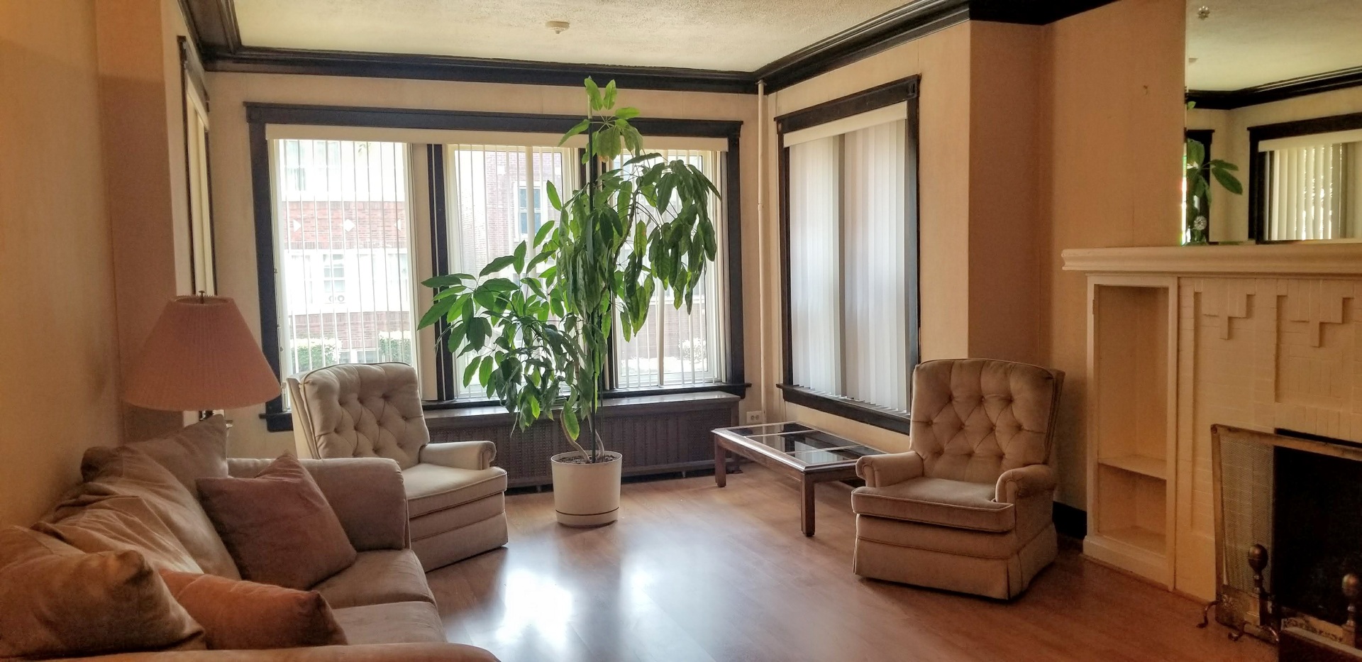7418 South Rhodes Avenue Chicago, IL 60619 - Photo 5 of 41 a living room with patio furniture and a potted plant