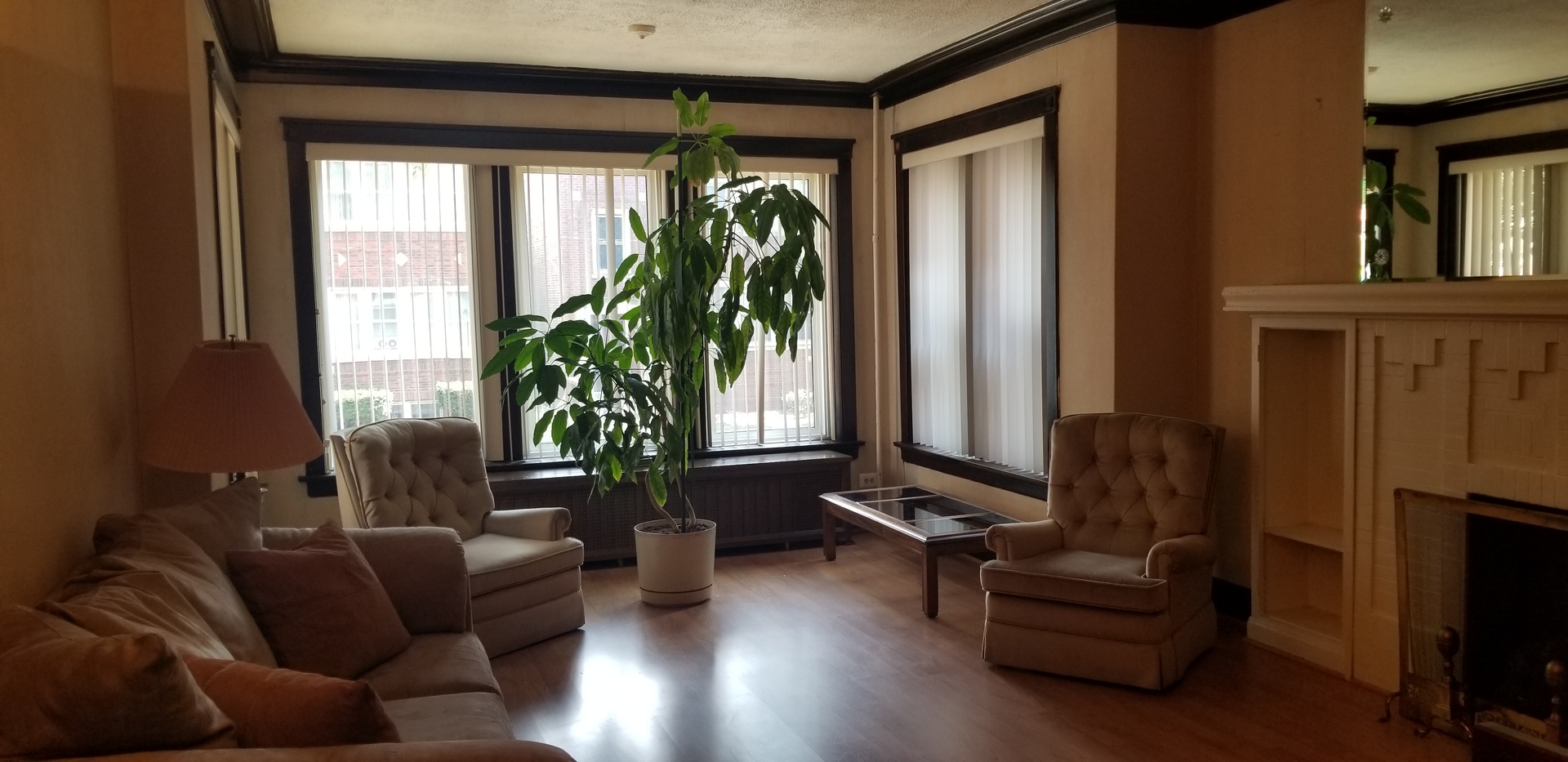 7418 South Rhodes Avenue Chicago, IL 60619 - Photo 6 of 41 a living room with furniture and a potted plant