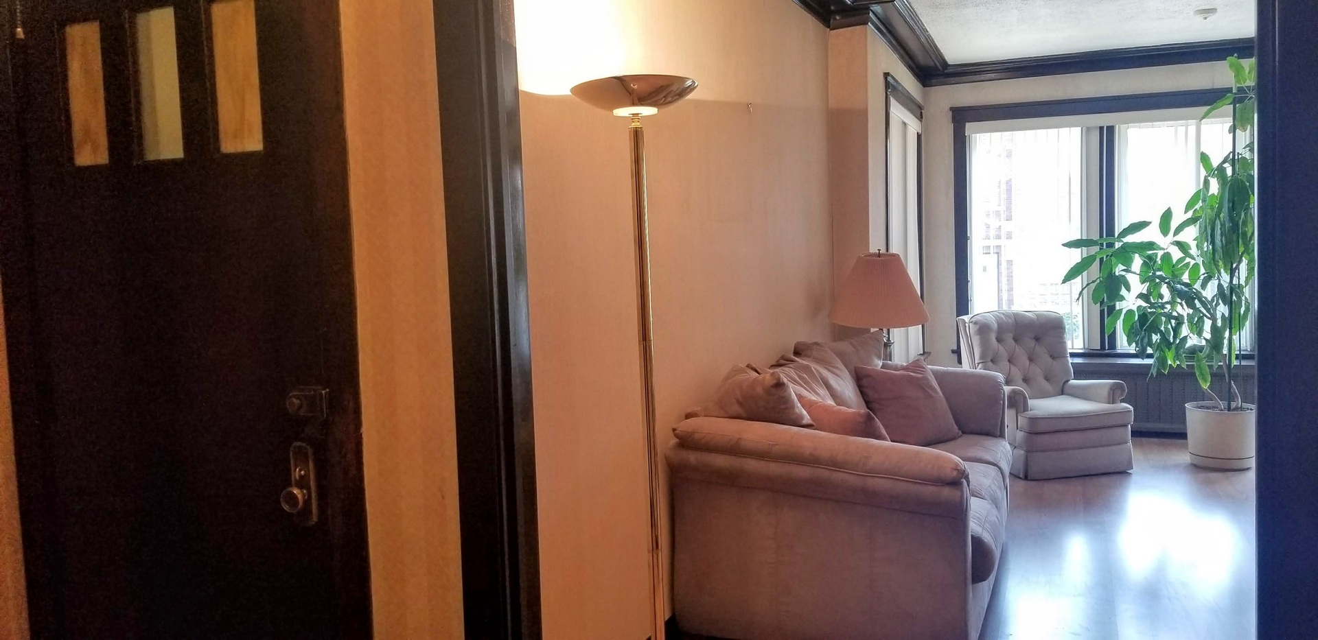 7418 South Rhodes Avenue Chicago, IL 60619 - Photo 7 of 41 a living room with furniture and a potted plant