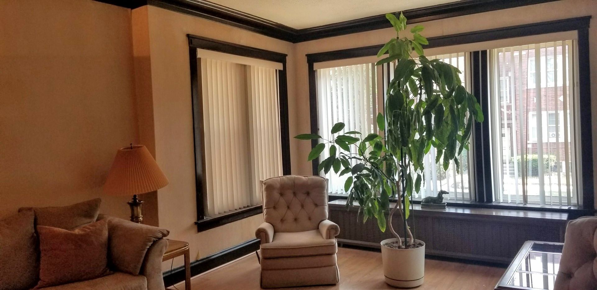 7418 South Rhodes Avenue Chicago, IL 60619 - Photo 8 of 41 a living room with furniture and a potted plant