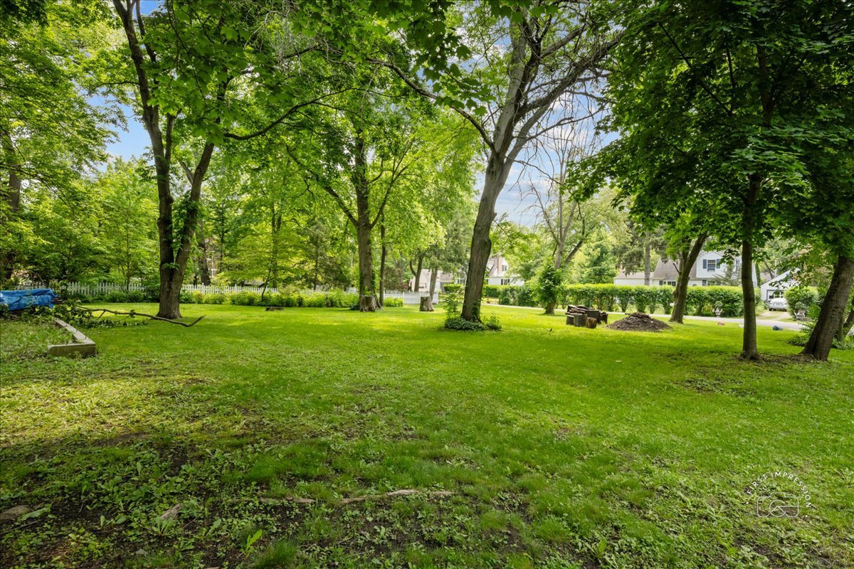 32W167 Army Trail Road Wayne, IL 60184 - Photo 19 of 19 a view of yard with trees