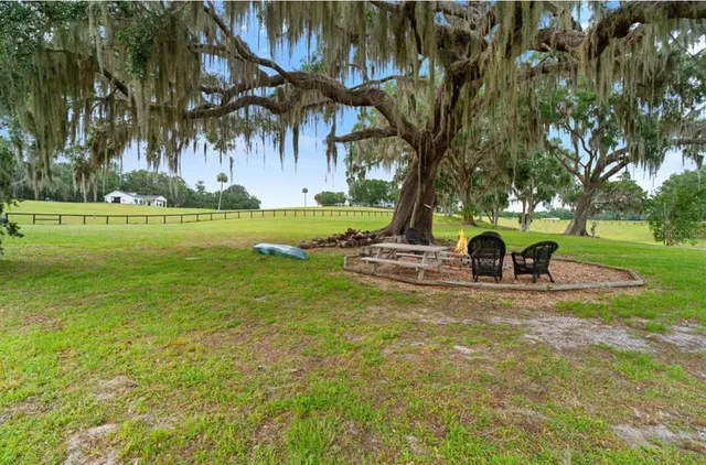 a view of a park with large trees