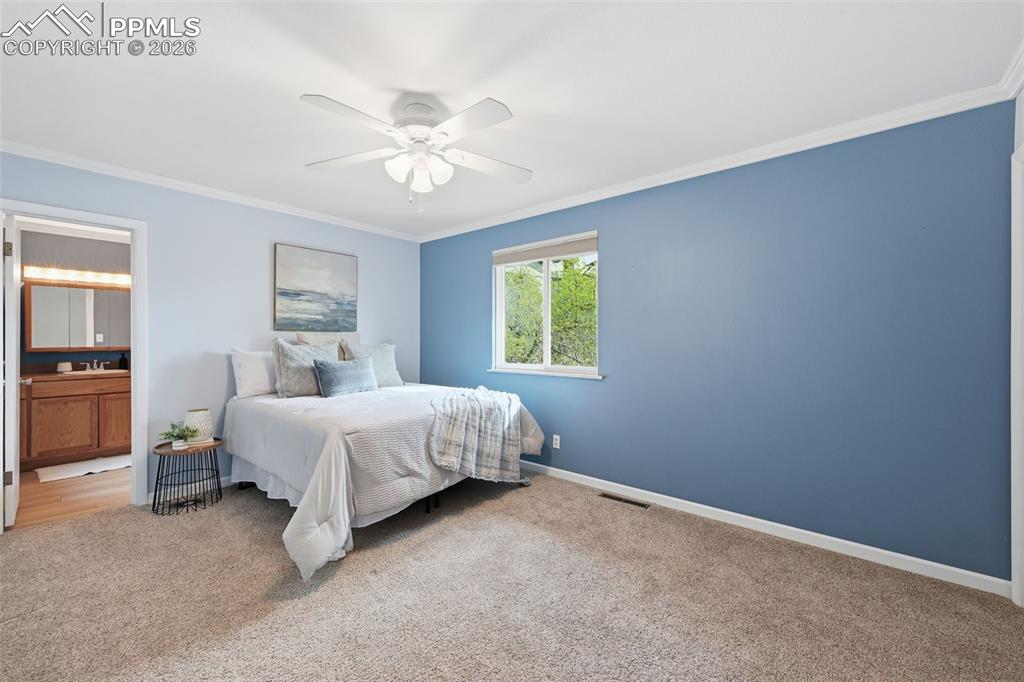 10 Haney Road Colorado Springs, CO 80906 - Photo 16 of 50
