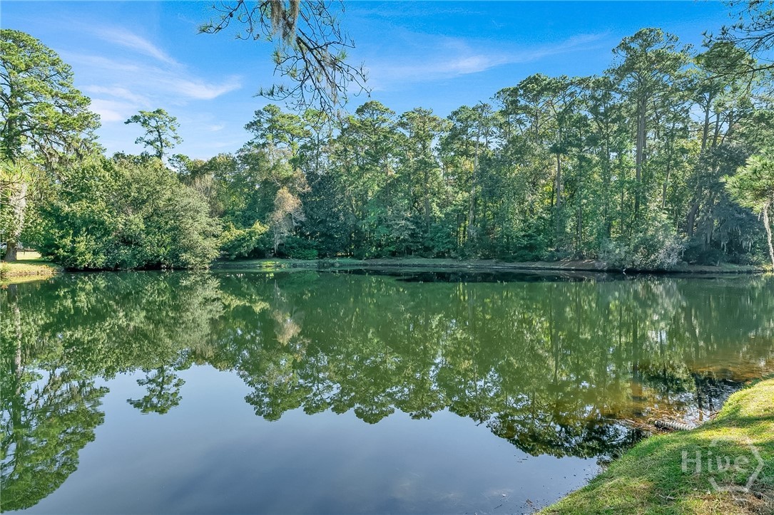 15 Franklin Creek Road North Savannah, GA 31411 - Photo 11 of 33