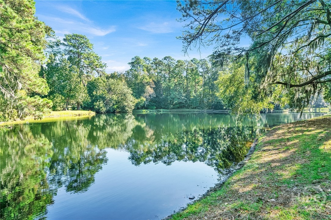 15 Franklin Creek Road North Savannah, GA 31411 - Photo 9 of 33