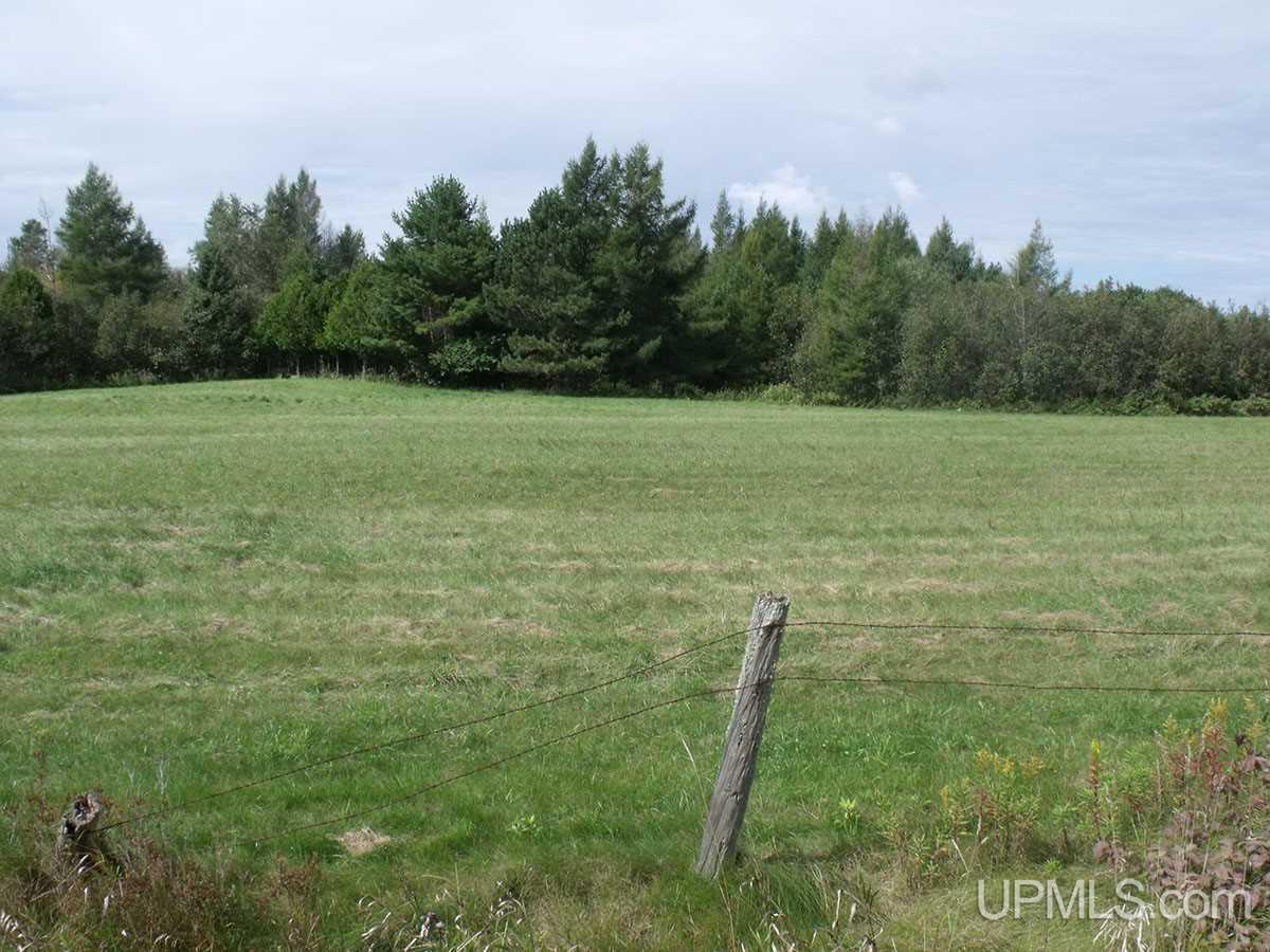 Tbd 240 Acres Off Belgium Road Manistique, MI 49854 - Photo 22 of 35
