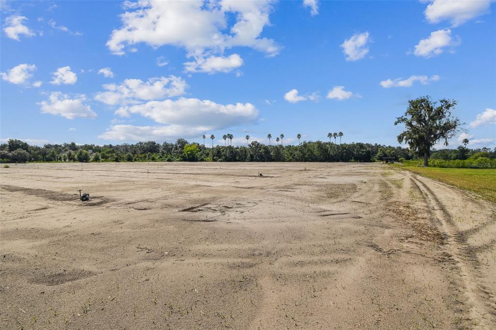 1715 West Sam Allen Road Plant City, FL 33565 - Photo 53 of 54