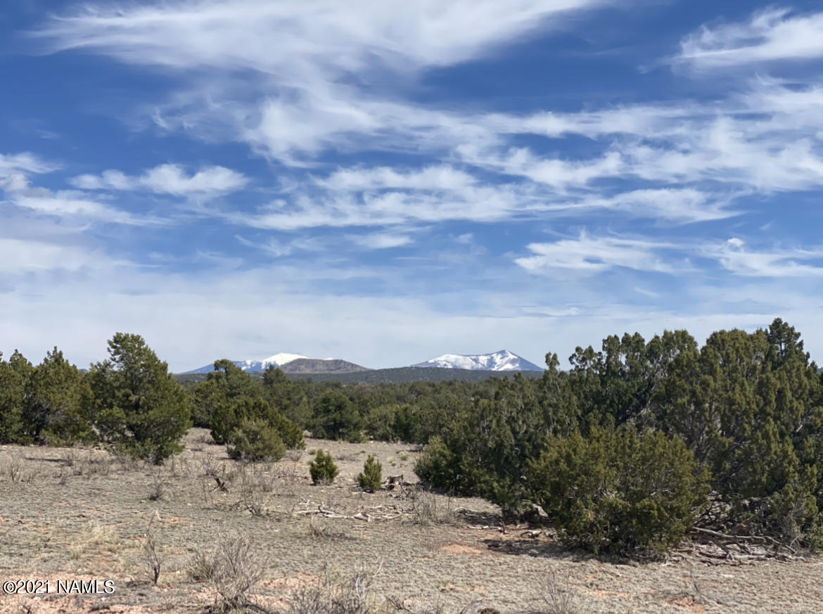 4827 Lasso Loop, Unit 412 Williams, AZ 86046 - Photo 1 of 16 Photo Jun 21, 5 05 47 PM