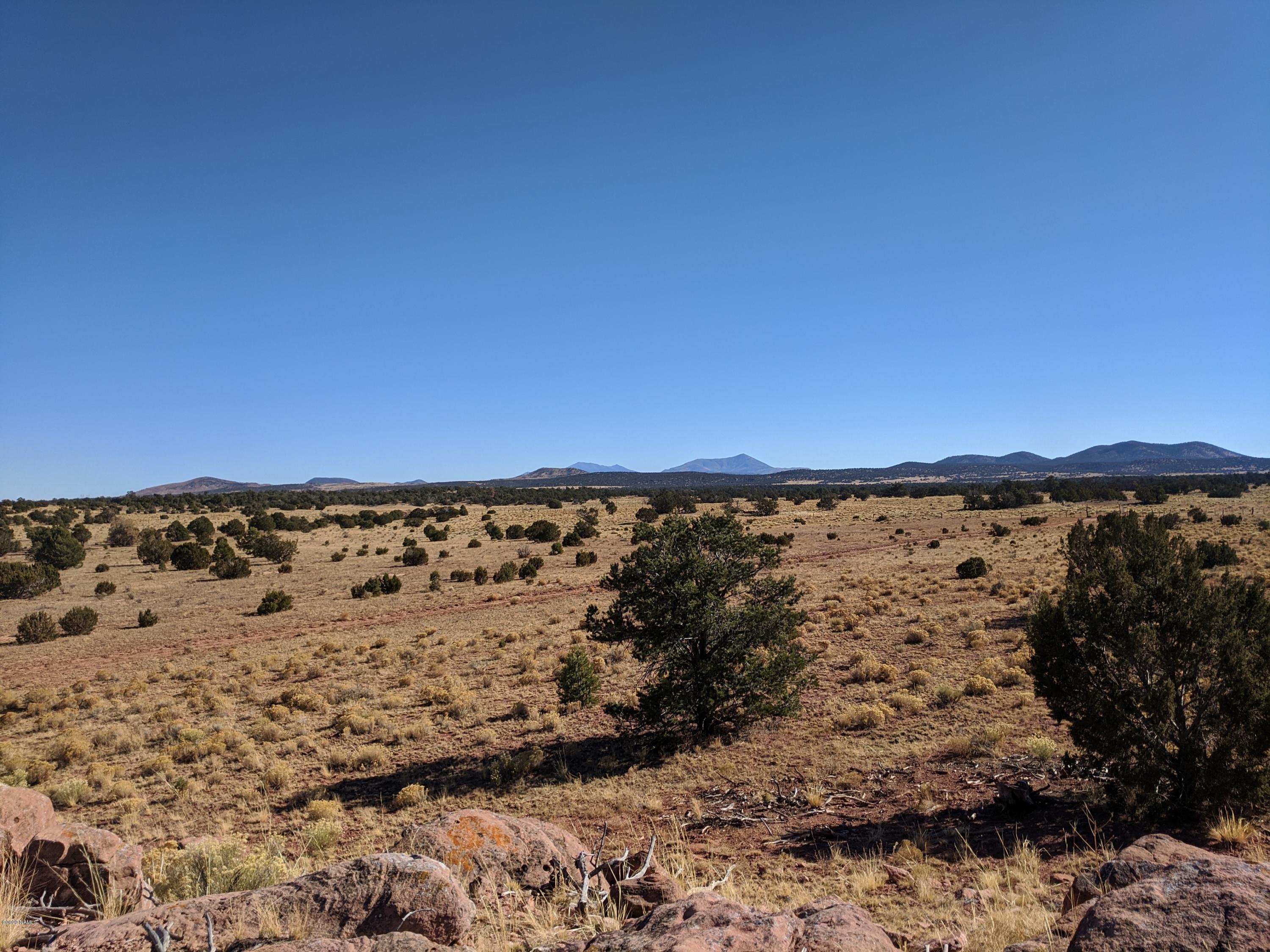 4827 Lasso Loop, Unit 412 Williams, AZ 86046 - Photo 4 of 16 IMG_20191118_133034