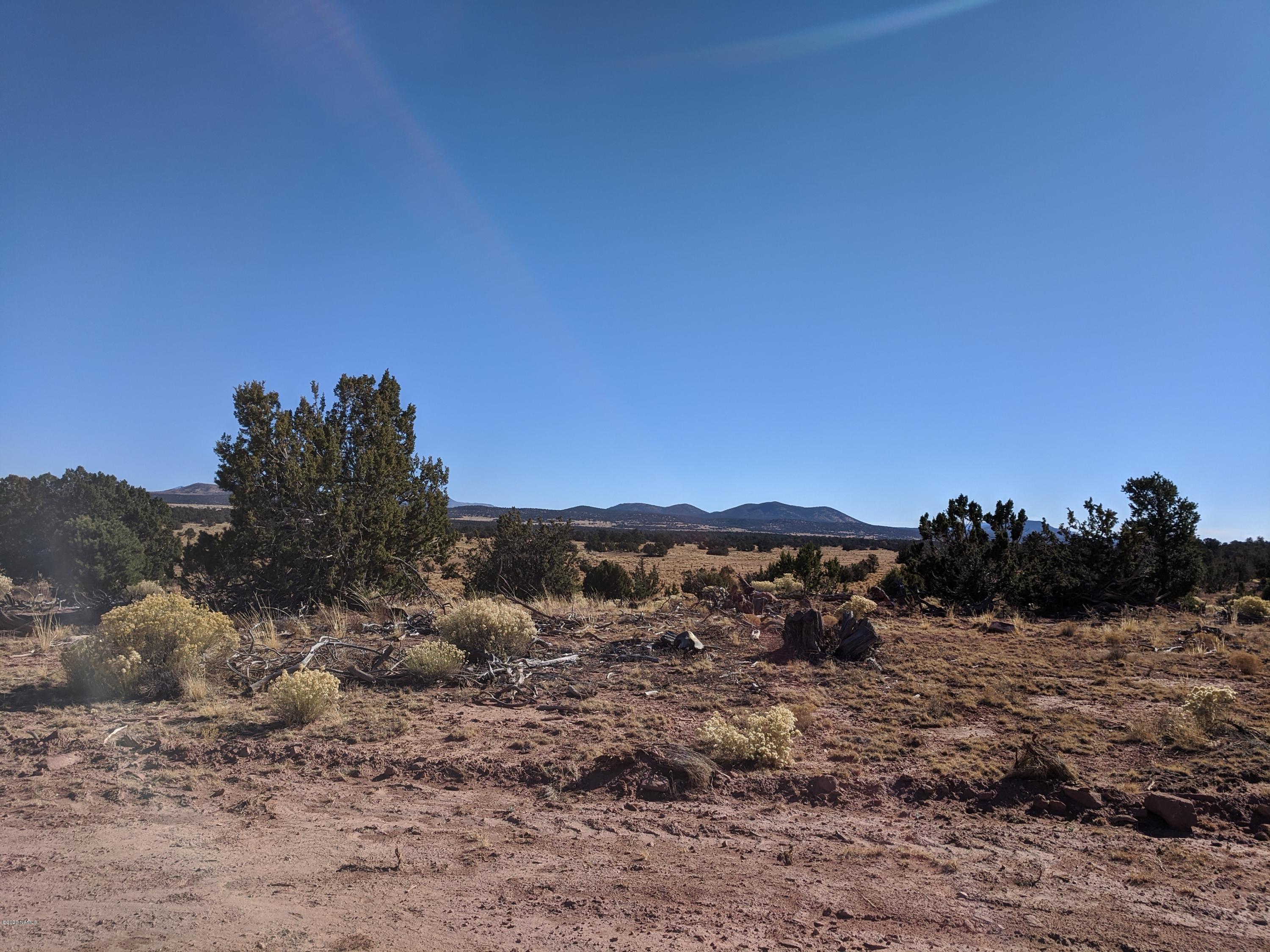 4827 Lasso Loop, Unit 412 Williams, AZ 86046 - Photo 5 of 16 IMG_20191118_132627