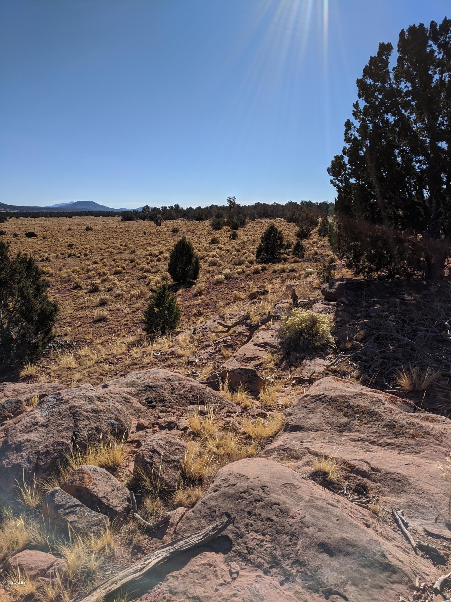 4827 Lasso Loop, Unit 412 Williams, AZ 86046 - Photo 6 of 16 IMG_20191118_133050