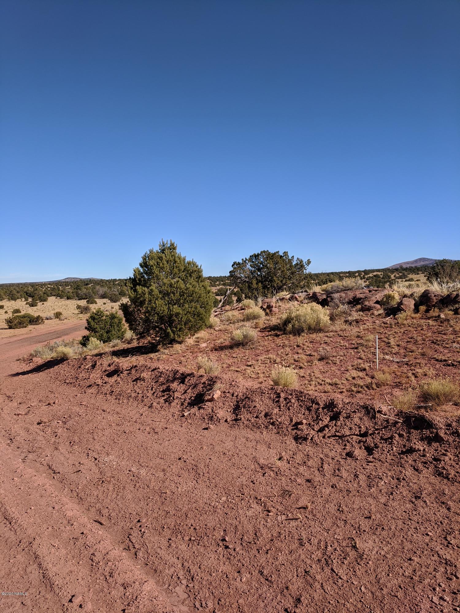 4827 Lasso Loop, Unit 412 Williams, AZ 86046 - Photo 7 of 16 IMG_20191118_132915