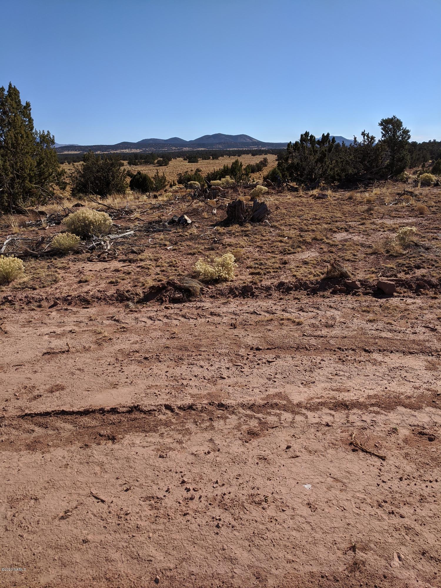 4827 Lasso Loop, Unit 412 Williams, AZ 86046 - Photo 8 of 16 IMG_20191118_132631