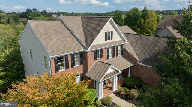 a view of a garden with a flower