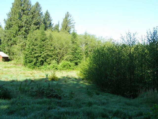 Tl#605 Latimer Road North Tillamook, OR 97141 - Photo 10 of 28 P5021224