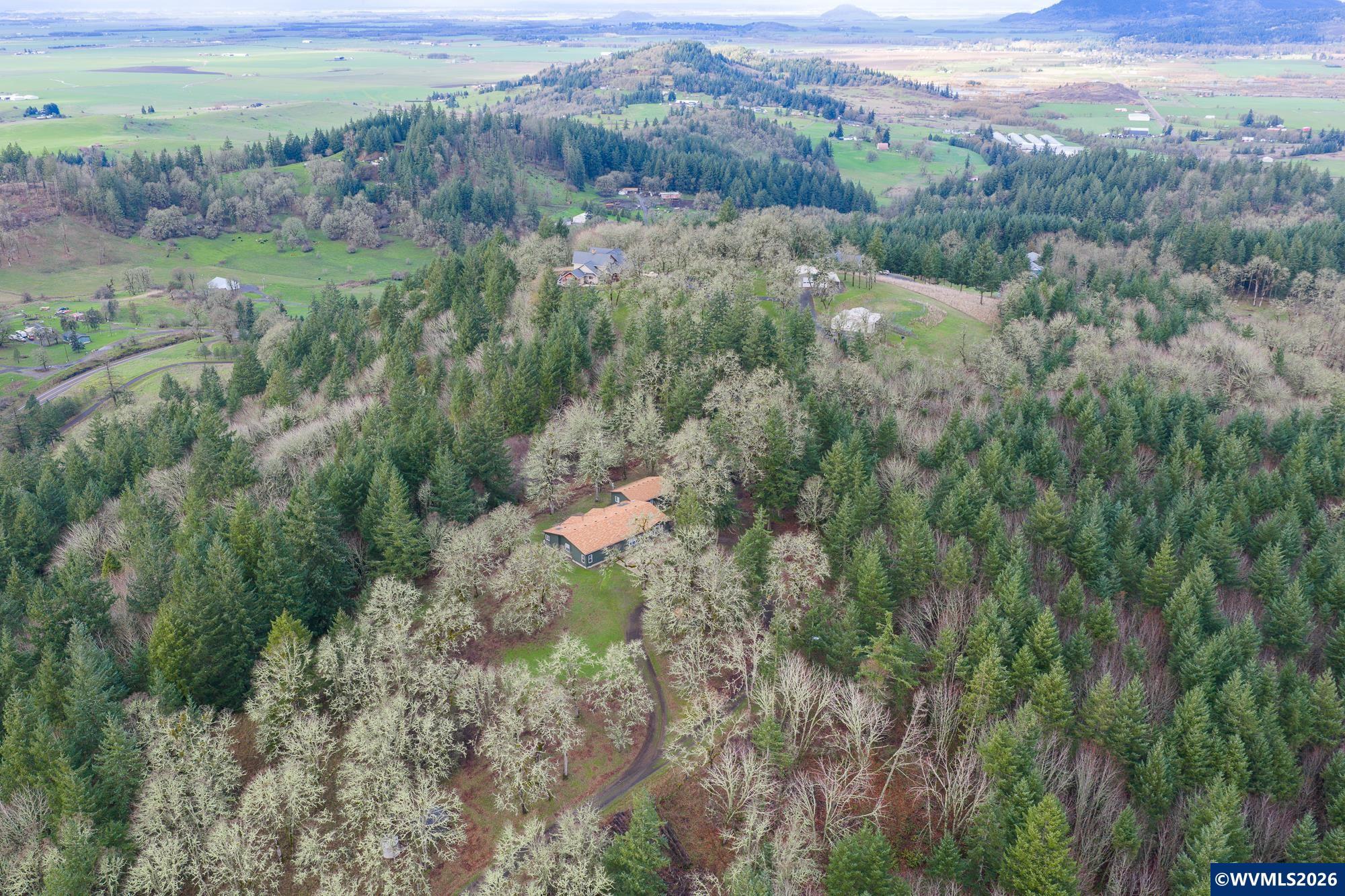24869 Gap Road Brownsville, OR 97327 - Photo 49 of 50