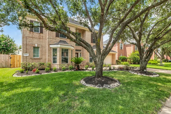 a view of a garden with a tree
