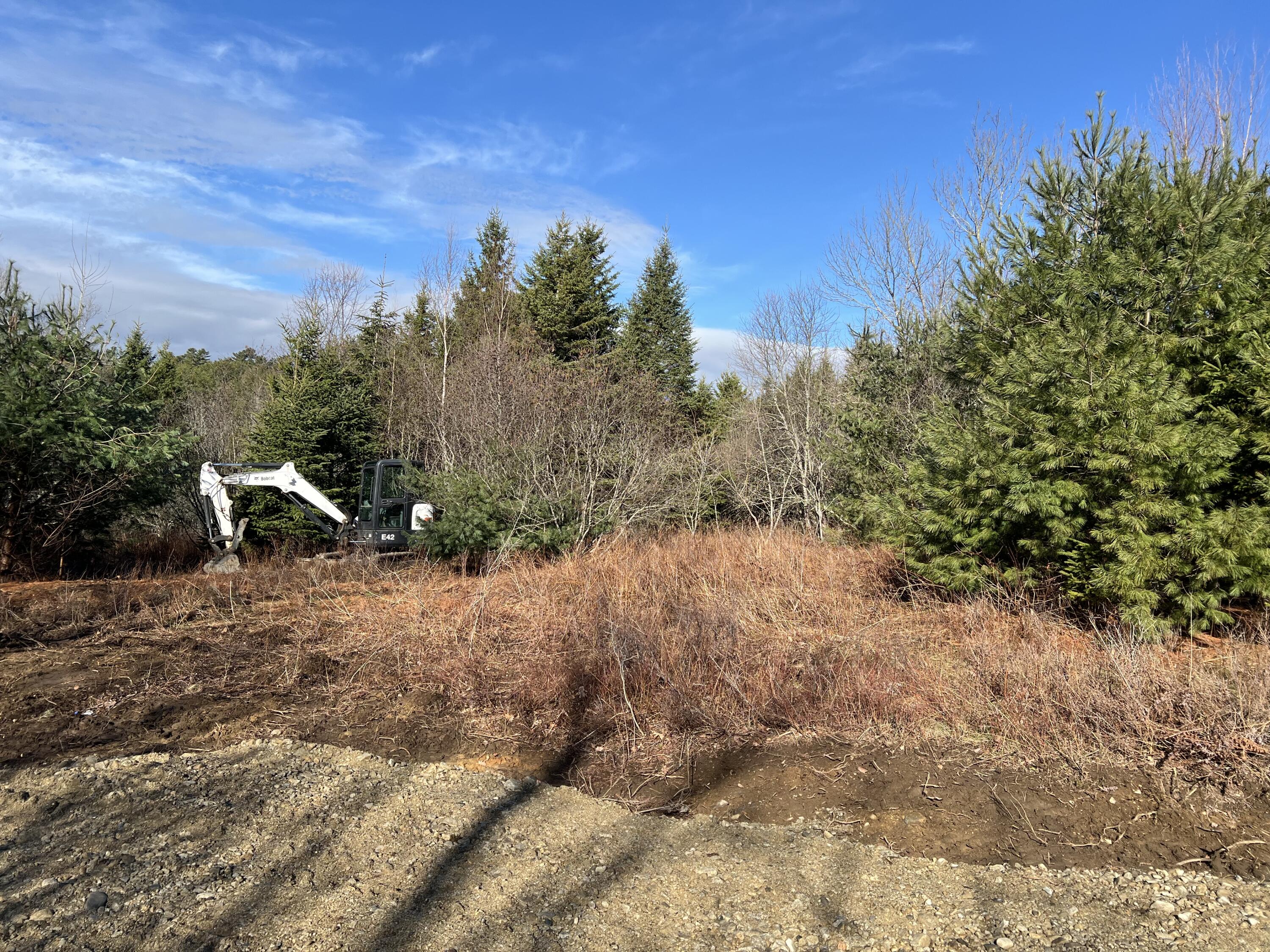 207 Gray Meadow Road Orland, ME 04472 - Photo 8 of 10 IMG_8374