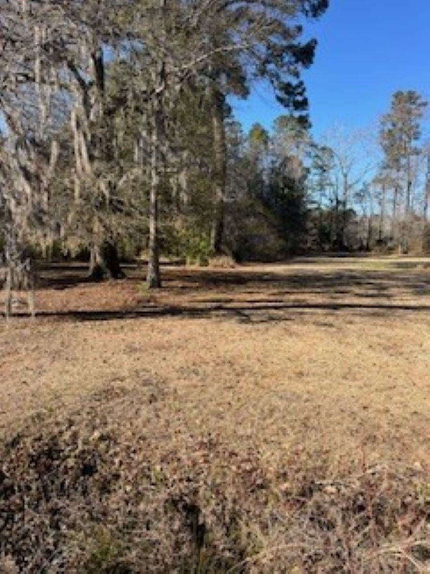 1432 Twin Lakes Road Cades, SC 29518 - Photo 19 of 22