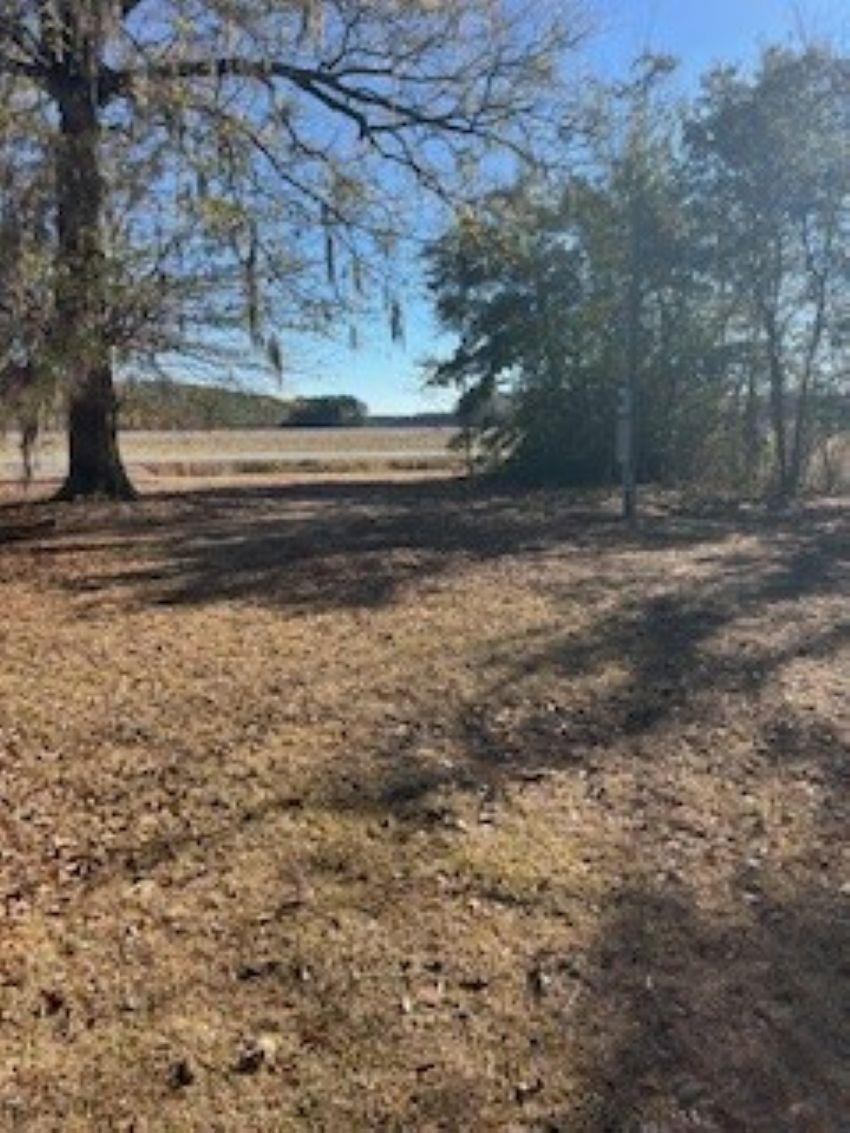 1432 Twin Lakes Road Cades, SC 29518 - Photo 20 of 22