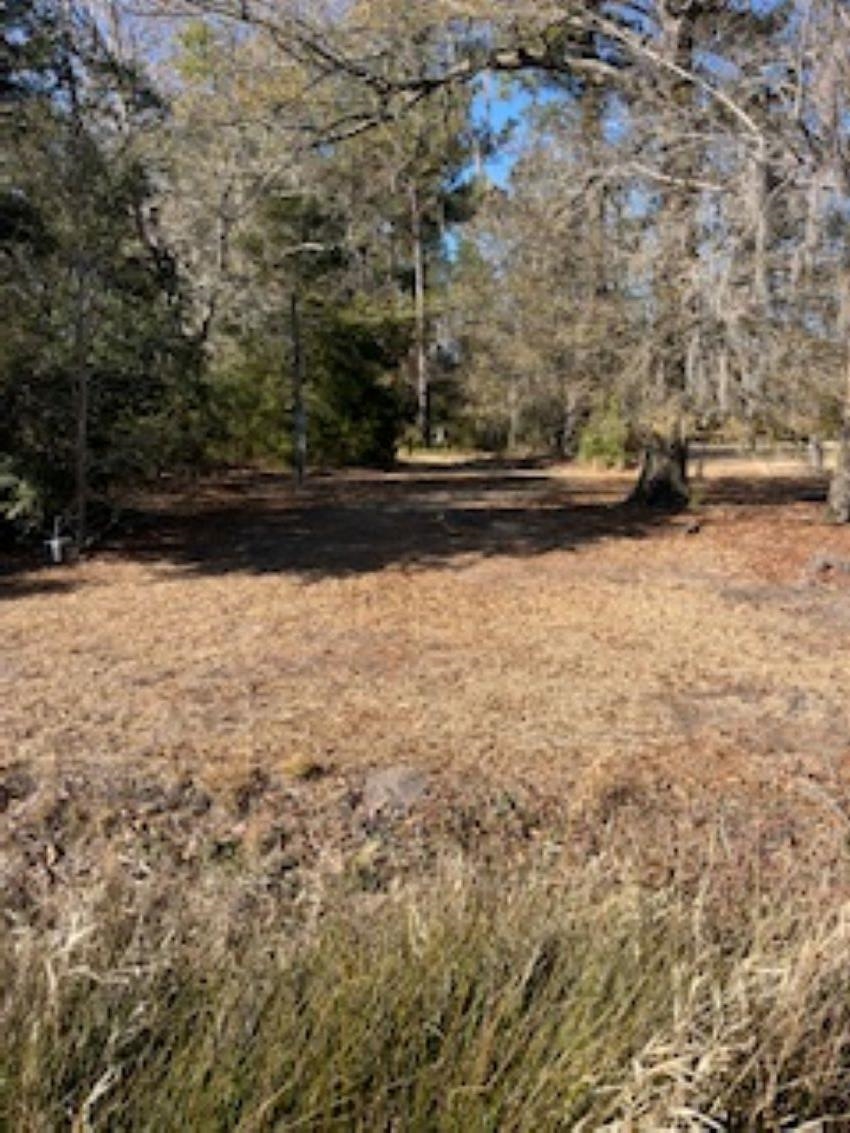 1432 Twin Lakes Road Cades, SC 29518 - Photo 22 of 22