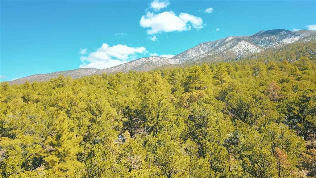 Lot 41 Lower Pinabete Road Questa, NM 87556 - Photo 2 of 16
