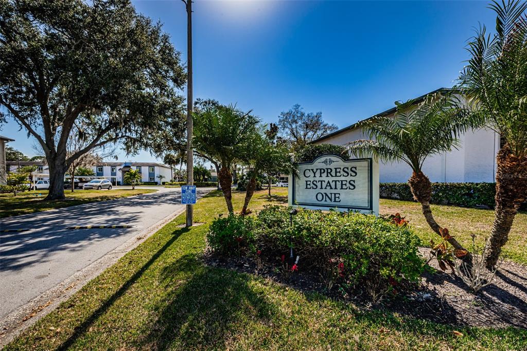 146 Cypress Lane Oldsmar, FL 34677 - Photo 28 of 44 a view of a park with iron fence