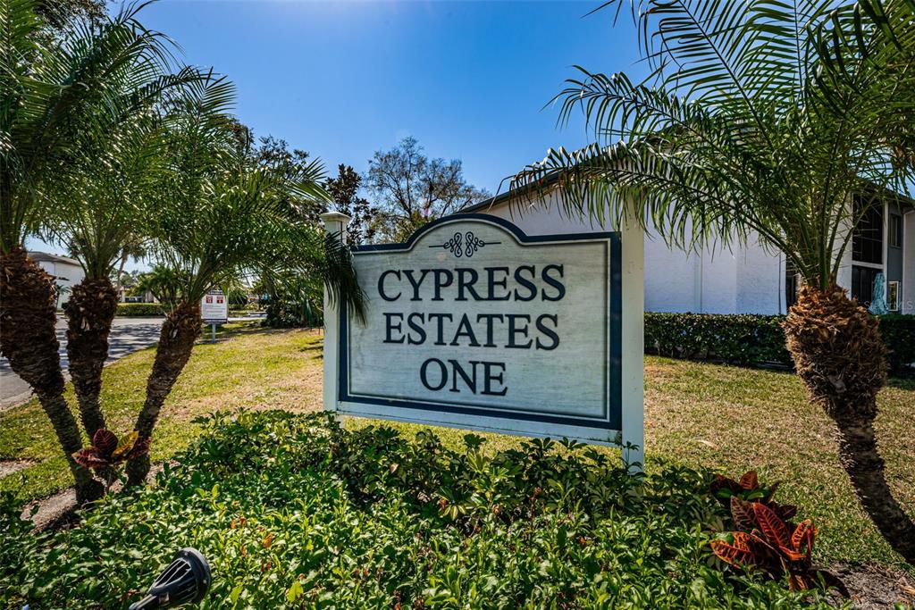 146 Cypress Lane Oldsmar, FL 34677 - Photo 29 of 44 a sign broad in front of flowers
