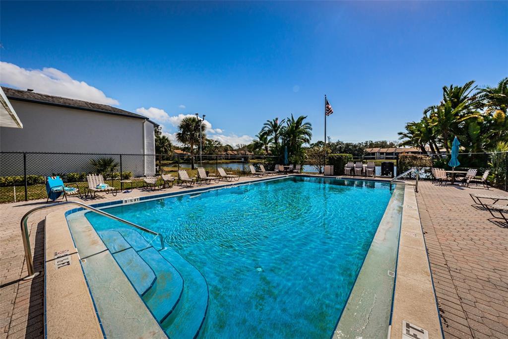 146 Cypress Lane Oldsmar, FL 34677 - Photo 33 of 44 a view of swimming pool with outdoor seating