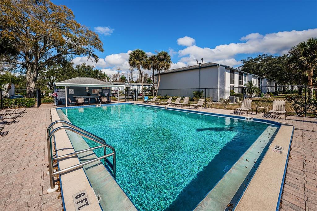 146 Cypress Lane Oldsmar, FL 34677 - Photo 34 of 44 a view of a swimming pool with a patio