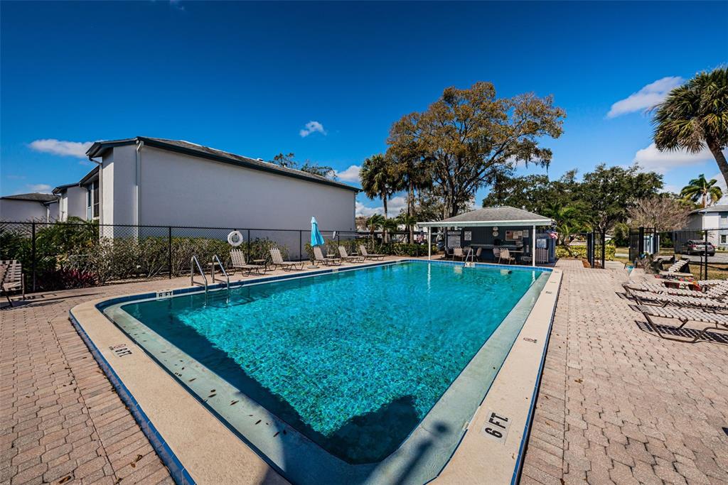 146 Cypress Lane Oldsmar, FL 34677 - Photo 37 of 44 a view of a swimming pool and lounge chairs