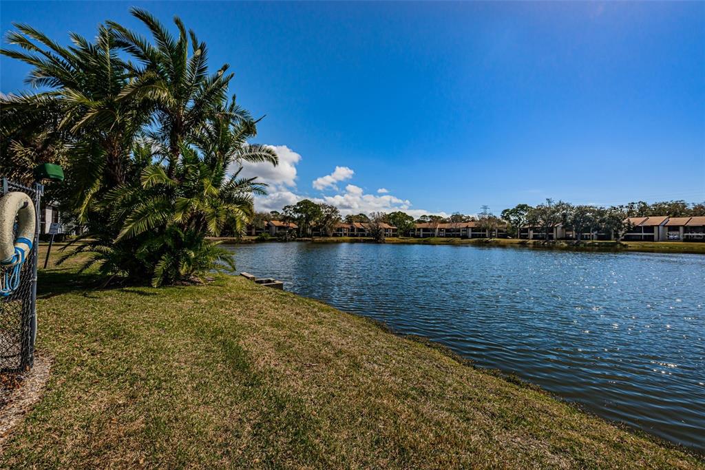 146 Cypress Lane Oldsmar, FL 34677 - Photo 38 of 44 a view of lake