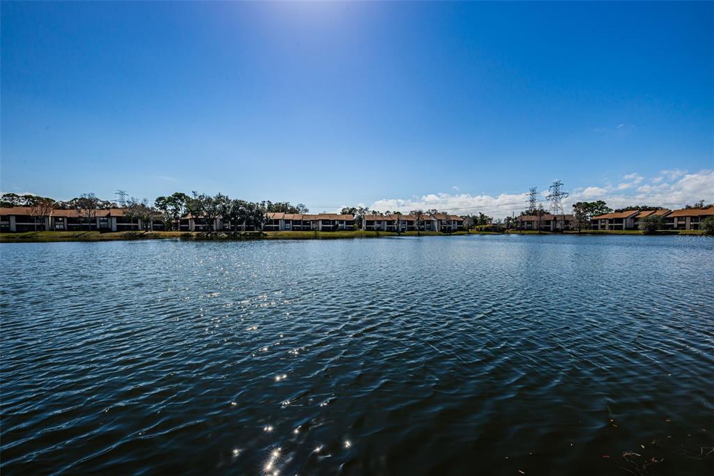 146 Cypress Lane Oldsmar, FL 34677 - Photo 39 of 44 a view of a lake with houses in back