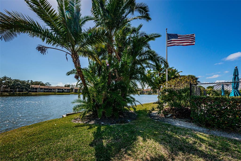 146 Cypress Lane Oldsmar, FL 34677 - Photo 40 of 44 a view of a lake with a building in the background