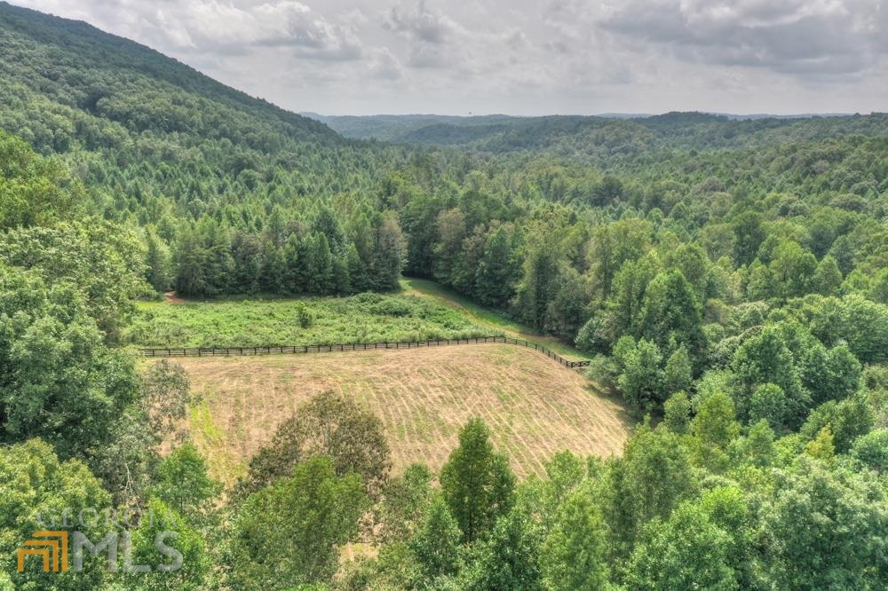 1756-56 Talona Road Ellijay, GA 30536 - Photo 1 of 1 View of Talona Mountain from pasture.