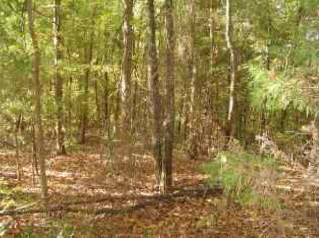 Lot 3 Maret Road Townville, SC 29689 - Photo 1 of 3 Gallery Image 1