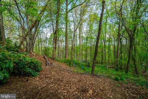 $995,000 | 6040 Redwood Lane, Alexandria, VA 22310