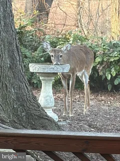 $995,000 | 6040 Redwood Lane, Alexandria, VA 22310