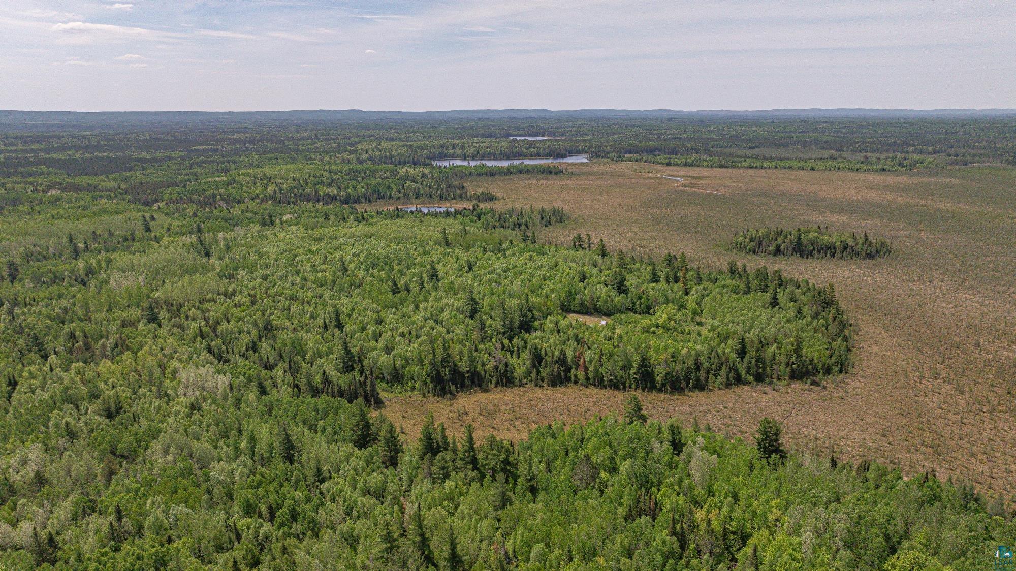 Tbd Tbd Muckwa Lake Road Babbitt, MN 55706 - Photo 6 of 54