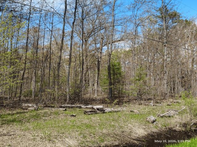 6230 Shellenbarger Road Hale, MI 48739 - Photo 41 of 46