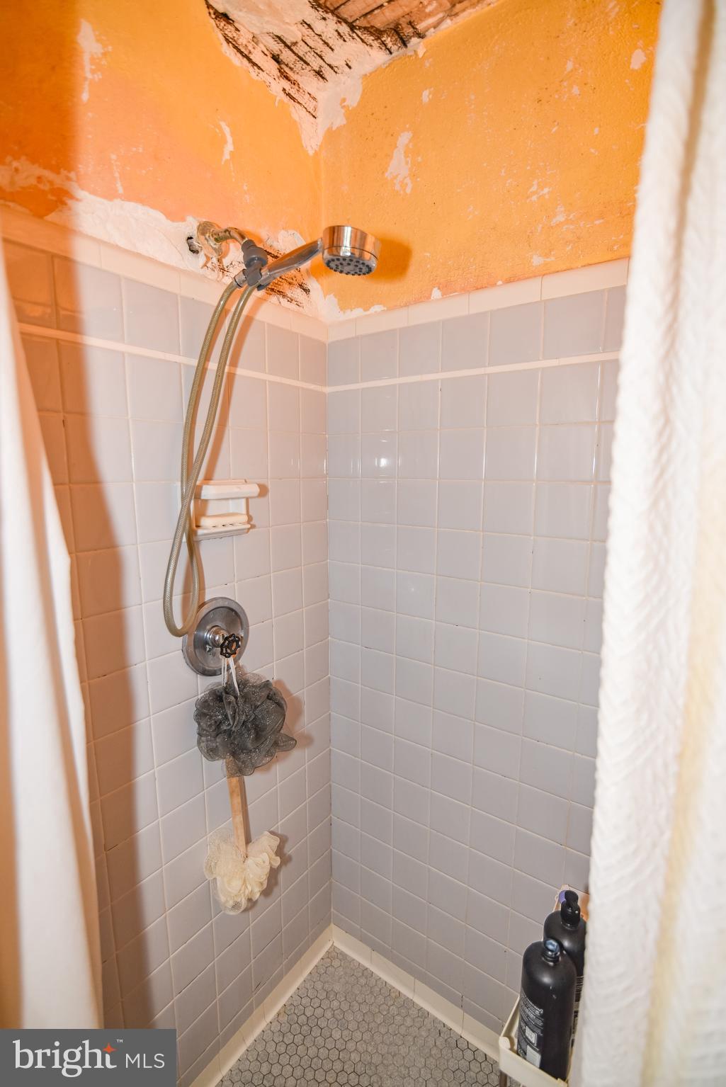 24 Merrymount Road Baltimore, MD 21210 - Photo 31 of 48 a bathroom with a shower
