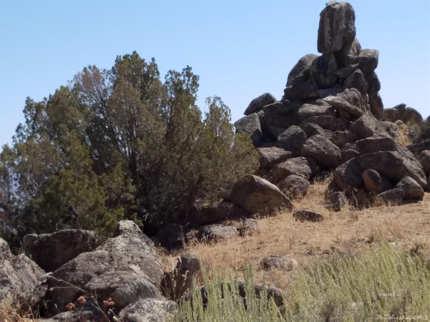 Big Springs Caliente, CA 93518 - Photo 10 of 10