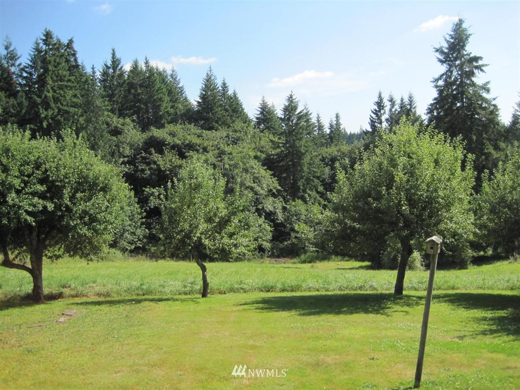 1320 Ham Hill Road Centralia, WA 98531 - Photo 14 of 15 Gallery Image 14