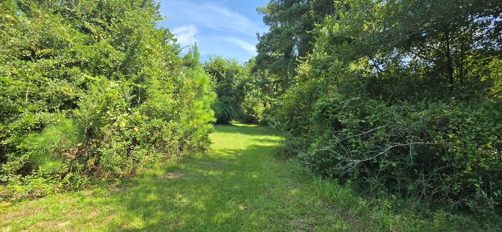 4739 Wallace Buie Road Columbia, AL 36319 - Photo 11 of 54