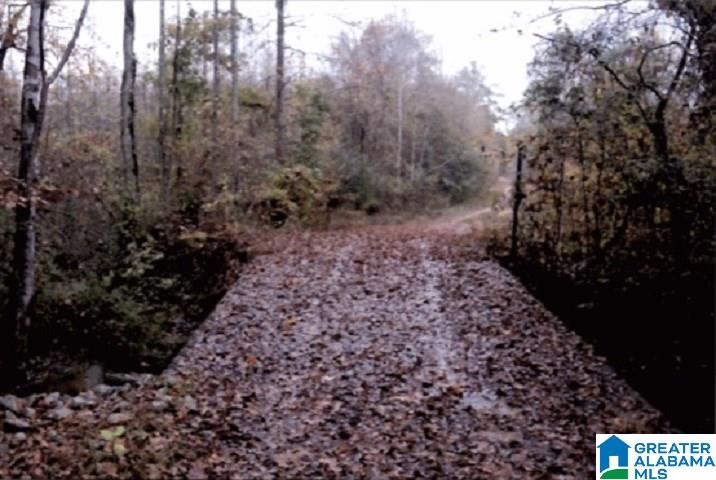 0 County Road 2, Unit 1 Heflin, AL 36264 - Photo 2 of 8