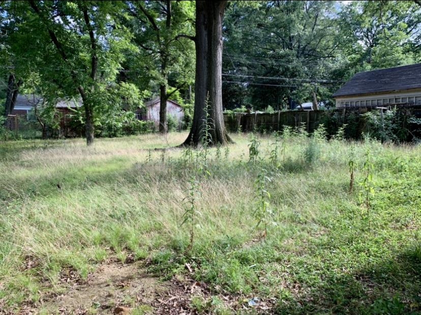 3741 Rhodes Avenue Memphis, TN 38111 - Photo 5 of 5 View of yard