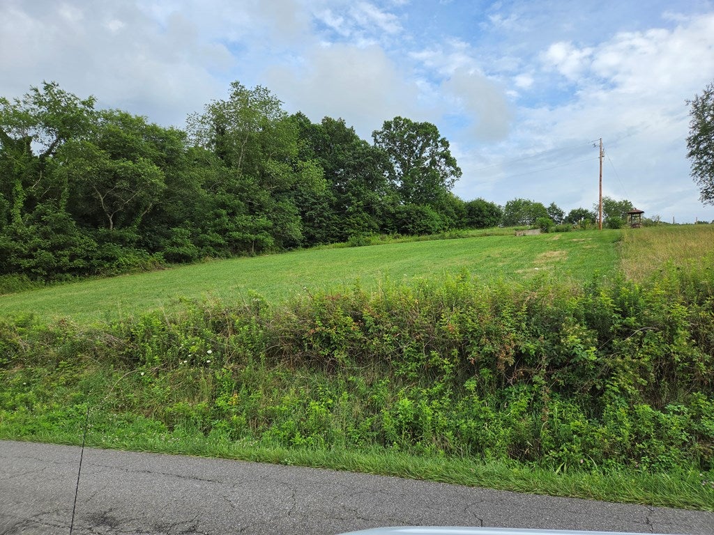Lot 21 Rural Retreat Lake Road, Unit 21 Rural Retreat, VA 24368 - Photo 4 of 16 Gallery Image 4