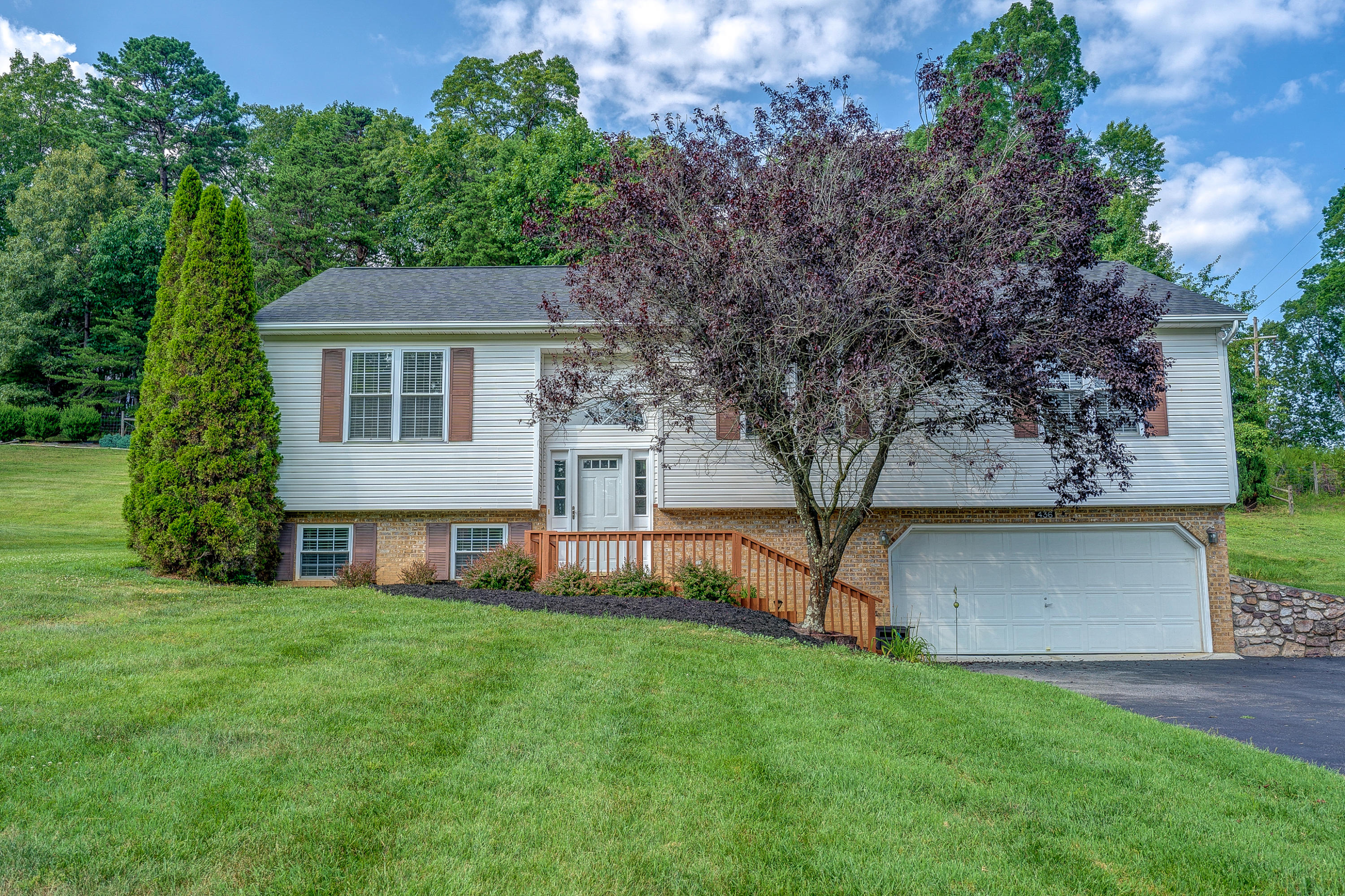 436 Scalybark Drive Blue Ridge, VA 24064 - Photo 1 of 35 DSC00301_2_3_4_5